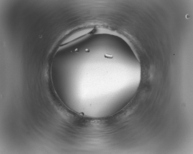 X0000071960064200607212303