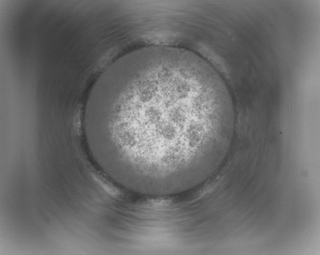 X0000071960065200607212303