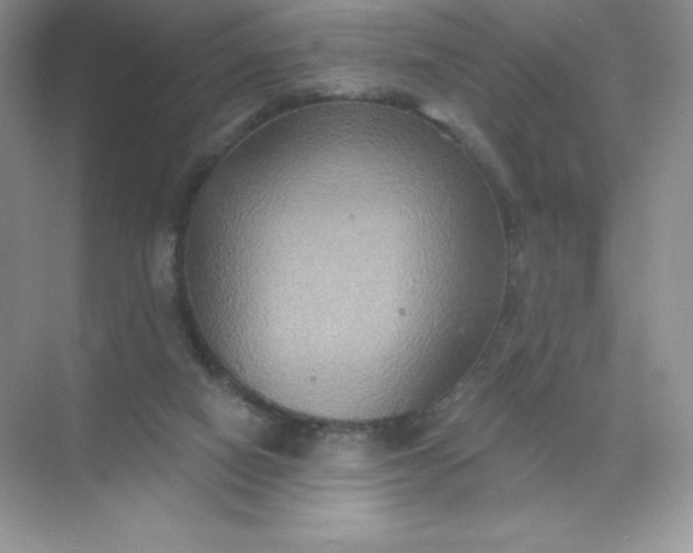 X0000071960066200607212303