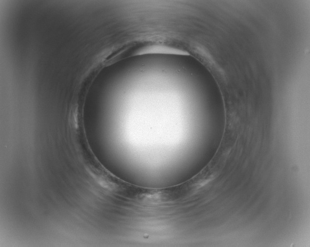 X0000071960068200607212303