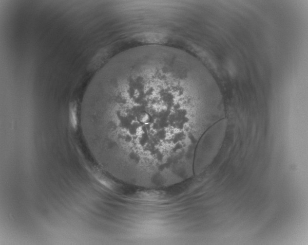 X0000071960069200607212303