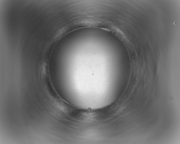 X0000071960071200607212303