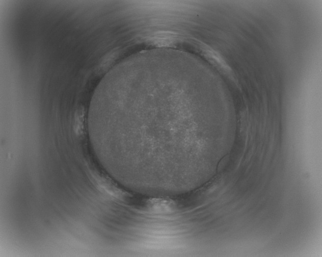 X0000071960073200607212303