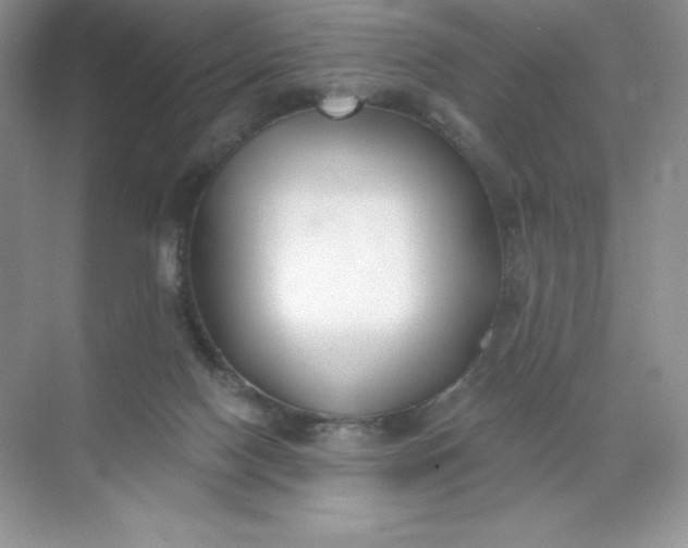 X0000071960074200607212303