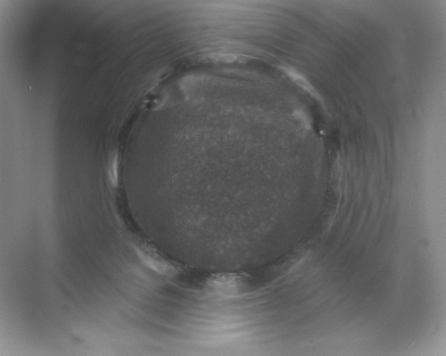 X0000071960076200607212303