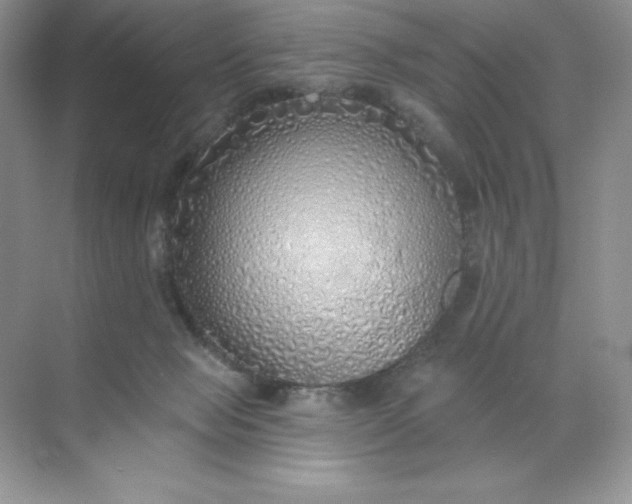 X0000071960077200607212303