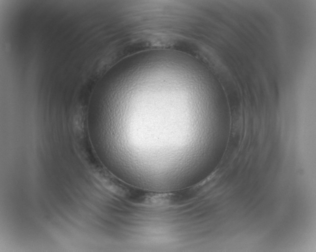 X0000071960078200607212303