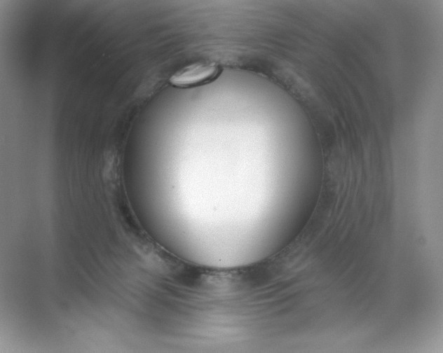 X0000071960079200607212303