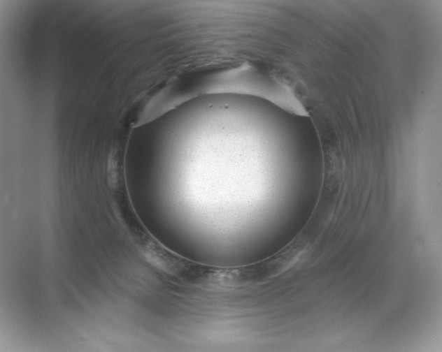 X0000071960080200607212303