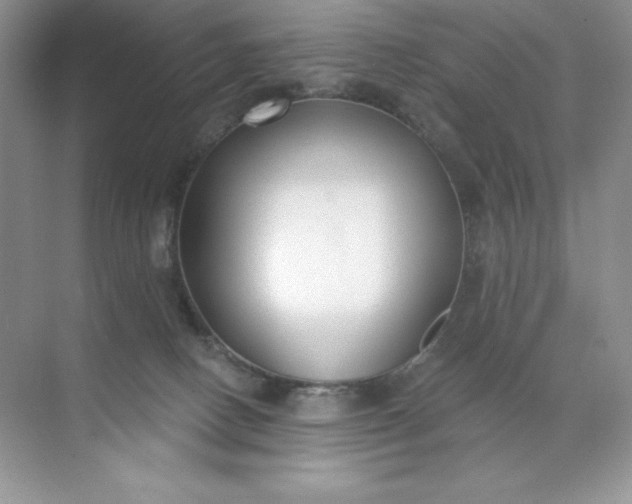 X0000071960082200607212303