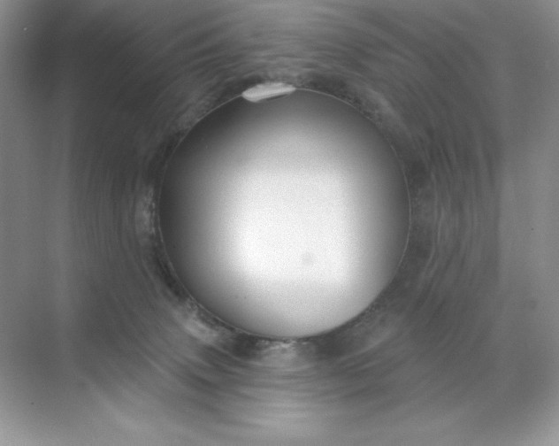 X0000071960083200607212303