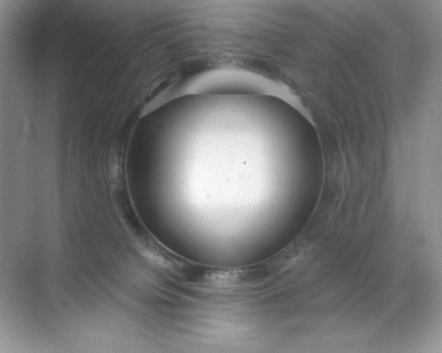 X0000071960084200607212303