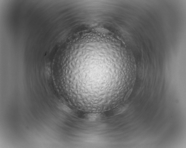 X0000071960085200607212303