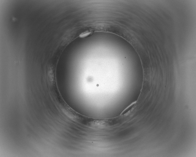 X0000071960086200607212303