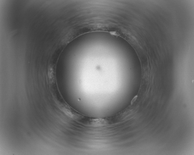 X0000071960087200607212303