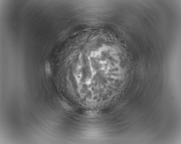 X0000071960089200607212303