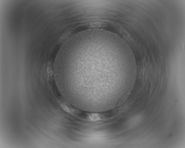 X0000071960091200607212303