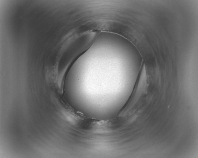 X0000071960092200607212303