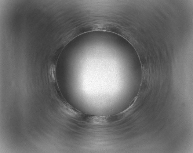 X0000071960094200607212303