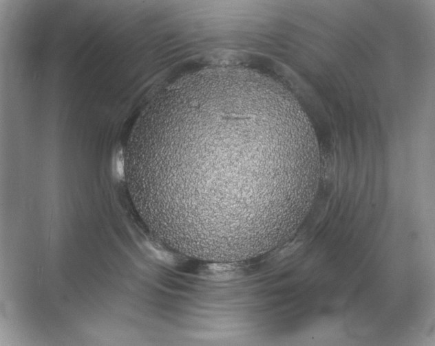 X0000071960095200607212303