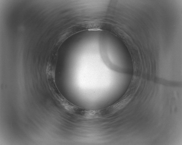 X0000071960096200607212303