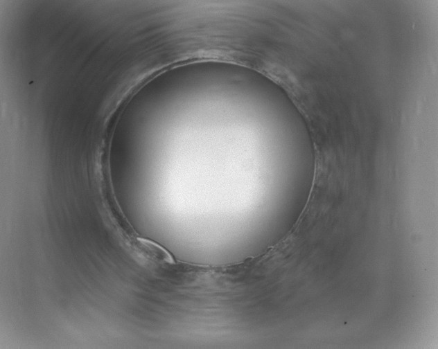 X0000071960098200607212303