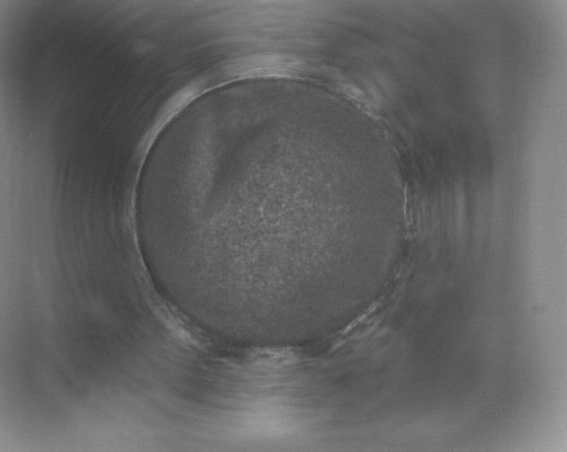 X0000071960099200607212303