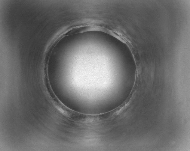 X0000071960101200607212302