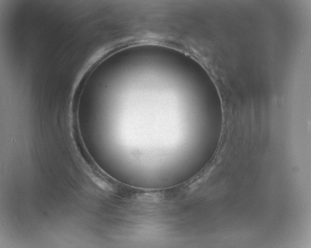 X0000071960102200607212302