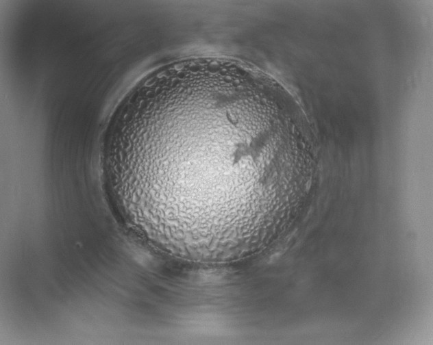 X0000071960103200607212302