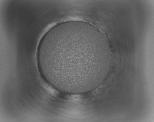 X0000071960104200607212302