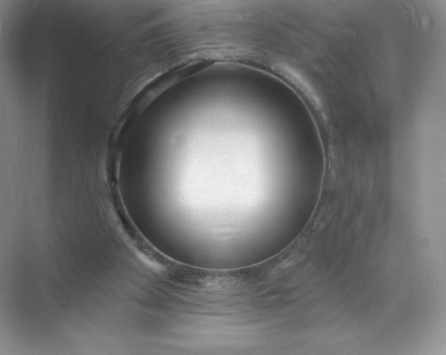 X0000071960105200607212302