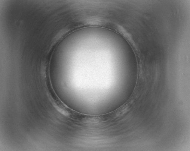 X0000071960106200607212302