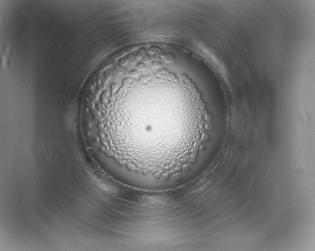 X0000071960107200607212302