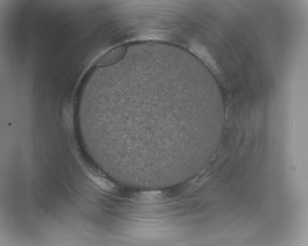 X0000071960108200607212302