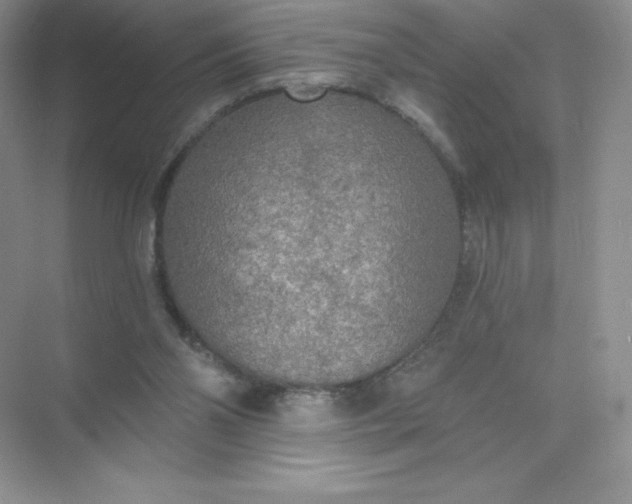 X0000071960110200607212302