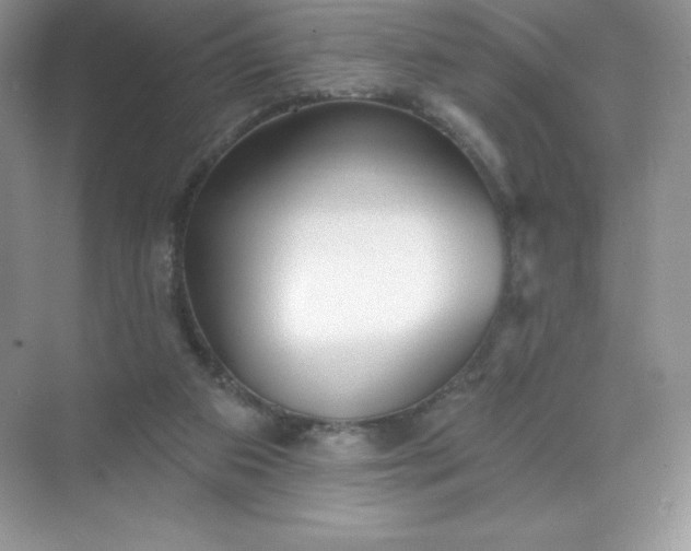 X0000071960113200607212302