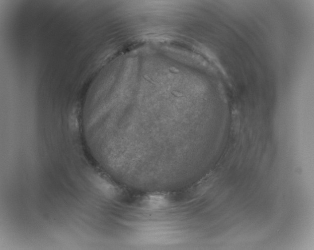 X0000071960114200607212302