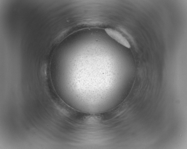 X0000071960115200607212302