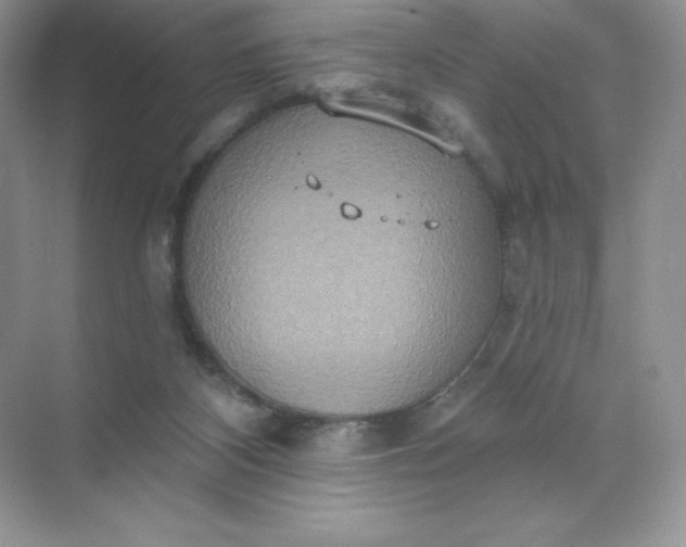 X0000071960116200607212302