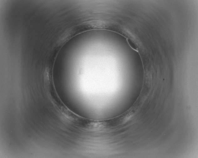 X0000071960117200607212302