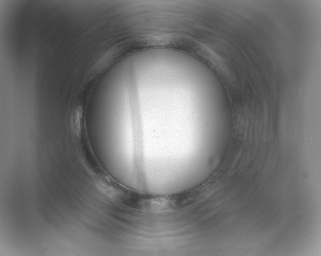 X0000071960118200607212302