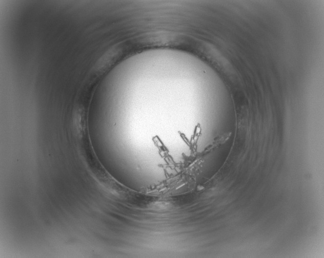 X0000071960119200607212302