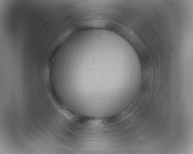 X0000071960120200607212302