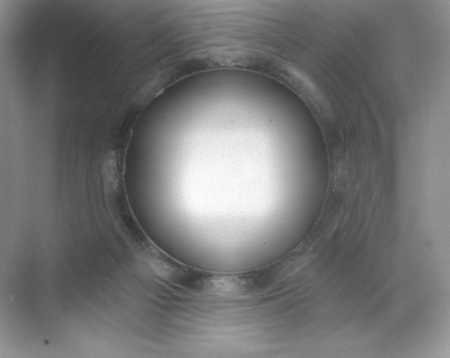 X0000071960121200607212302