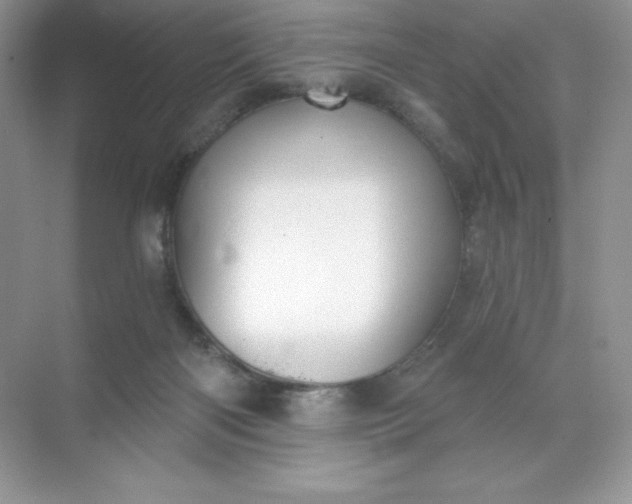 X0000071960122200607212302