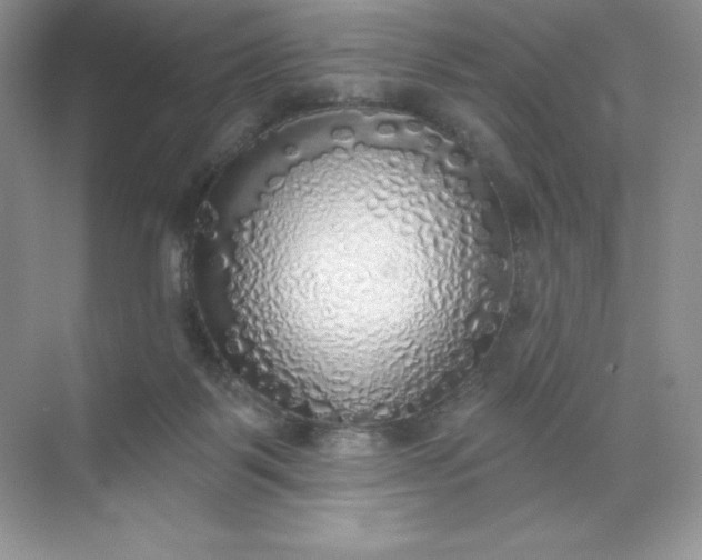 X0000071960123200607212302