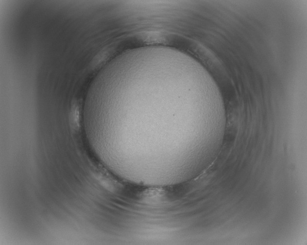 X0000071960124200607212302