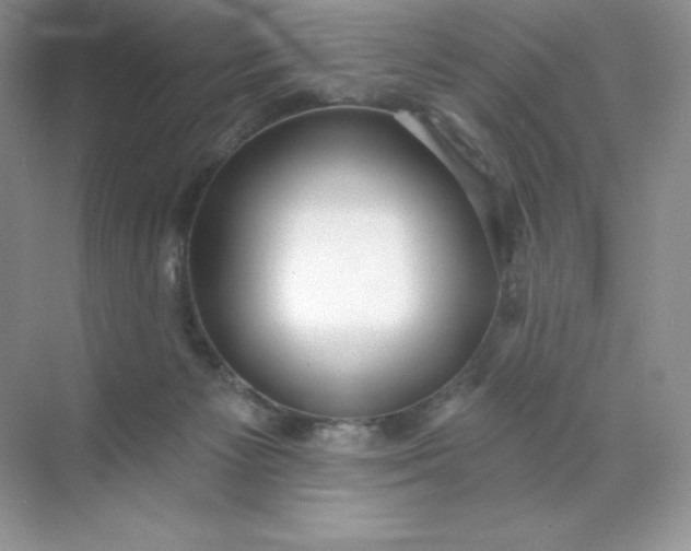 X0000071960125200607212302