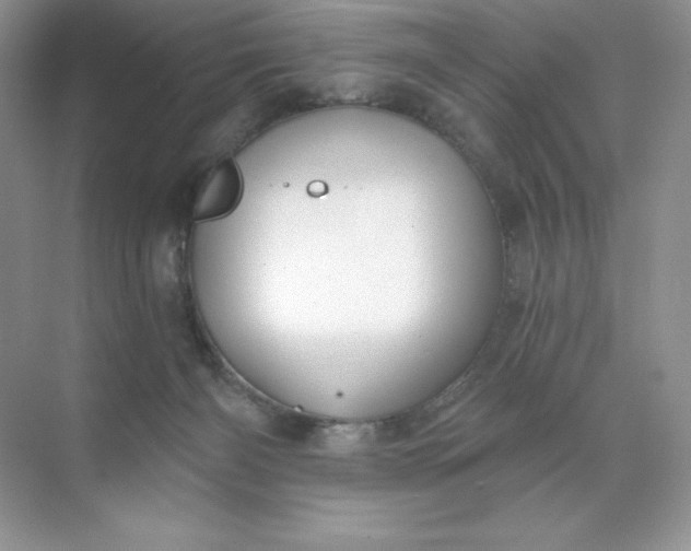 X0000071960126200607212302